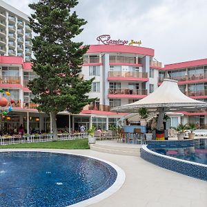 Flamingo Beach Hotel